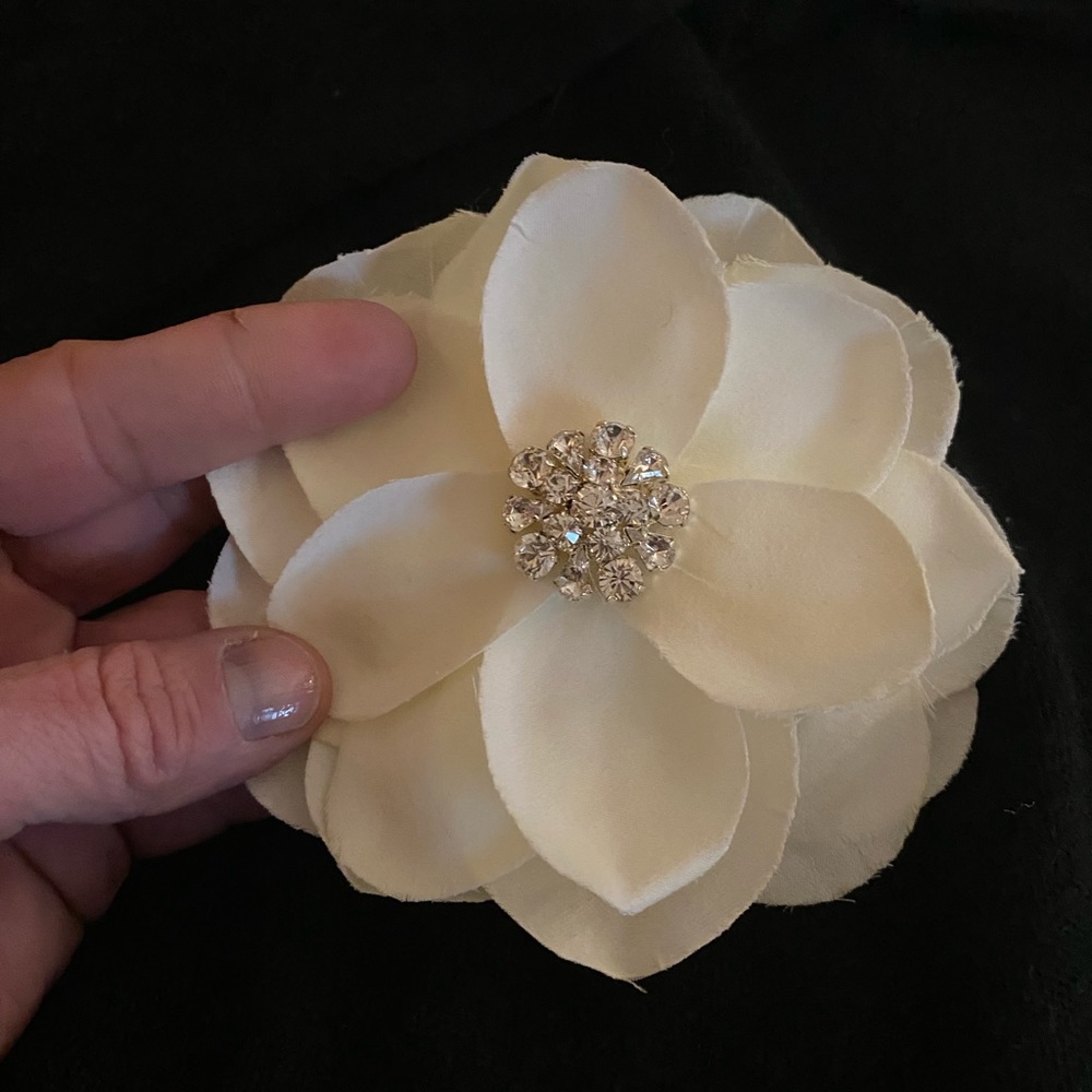 Fancy hair clip or barrette with plenty of bling!